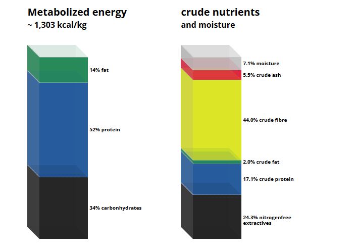 C 1012 Energy deficient diet.JPG